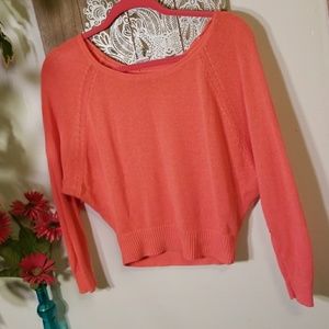American Eagle Crop Sweater